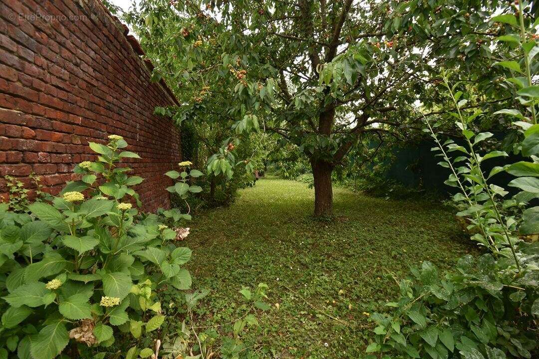 Maison 150 m² à Cambrai  - photo 8