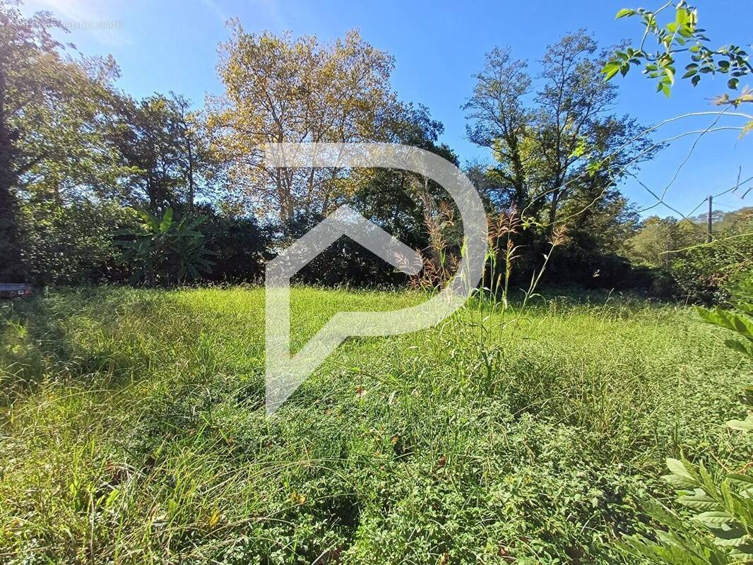 Terrain à PEYREHORADE