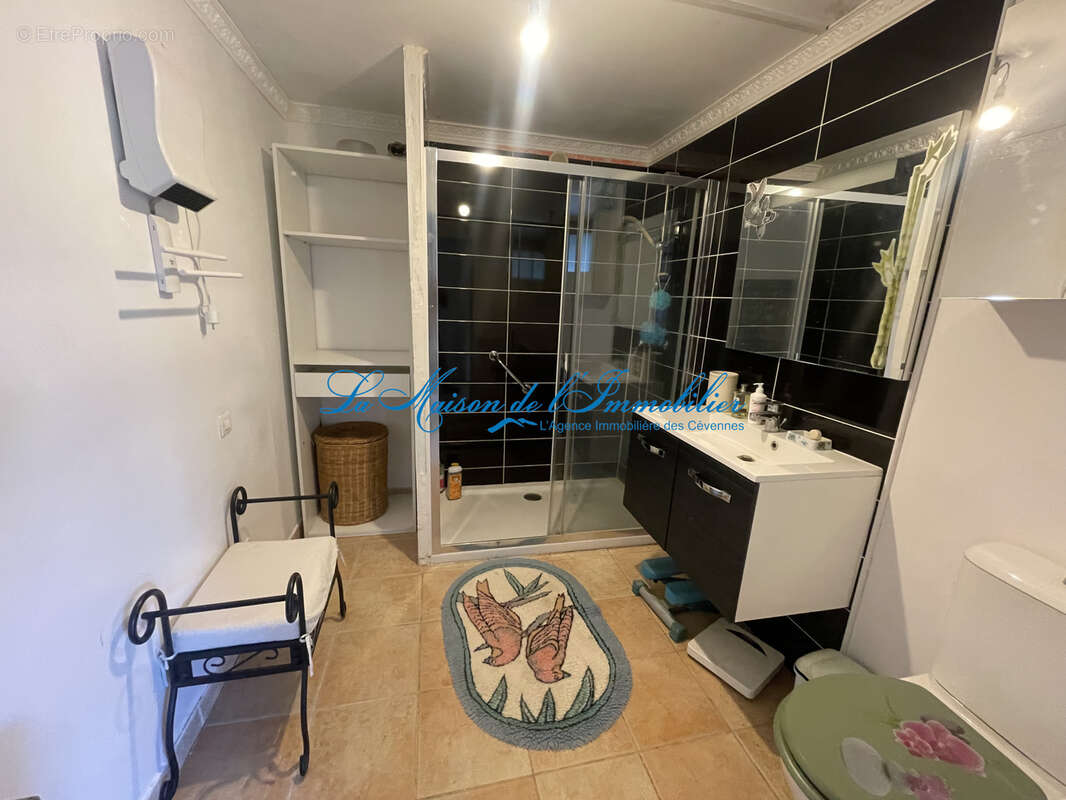 Proche St Ambroix, maison idéal accueil de type F9 sur 1300 m2 de terrain avec piscine - photo 6
