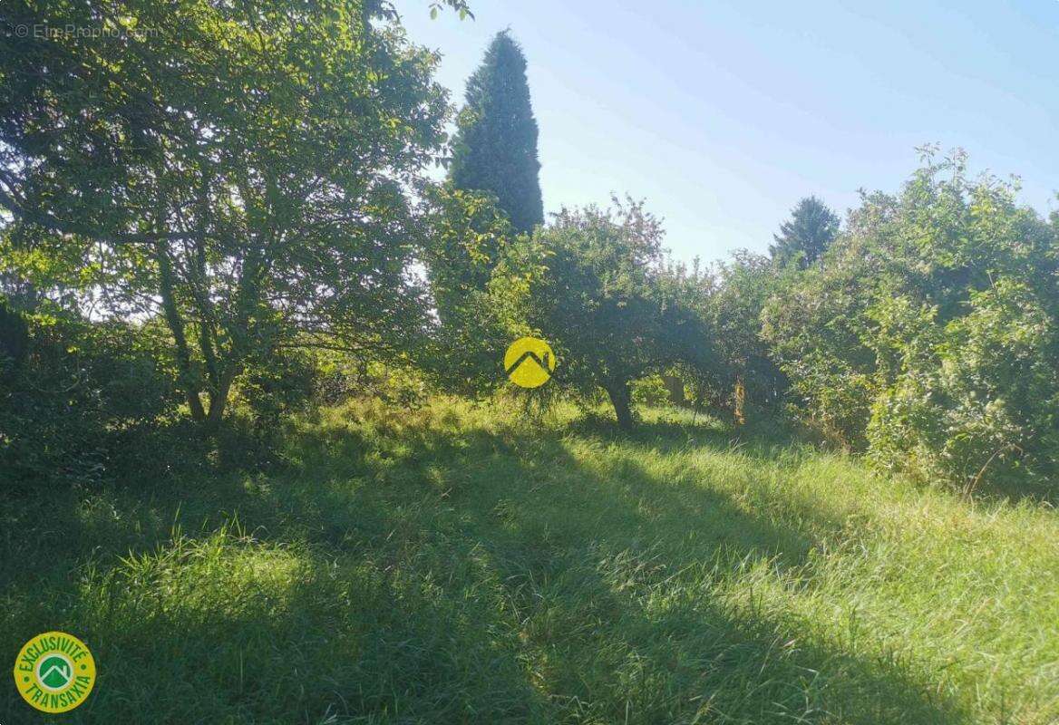 Terrain à GROSSOUVRE
