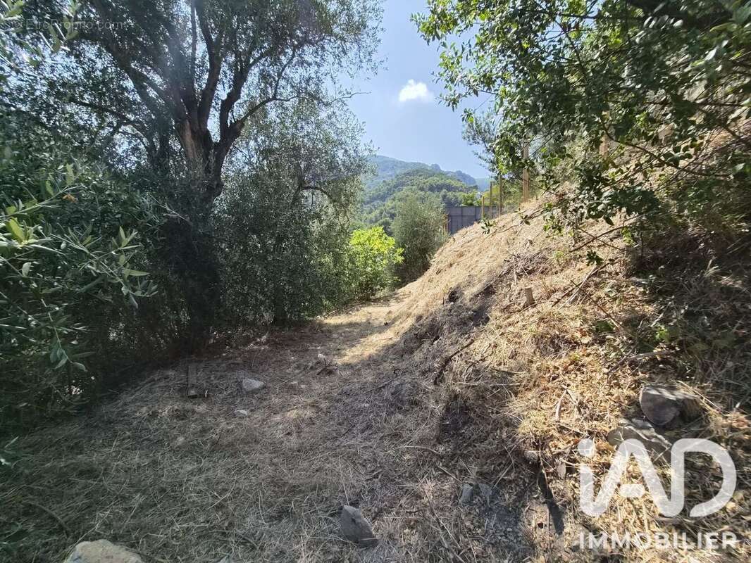 Terrain 802 m² à Gorbio  - photo 4
