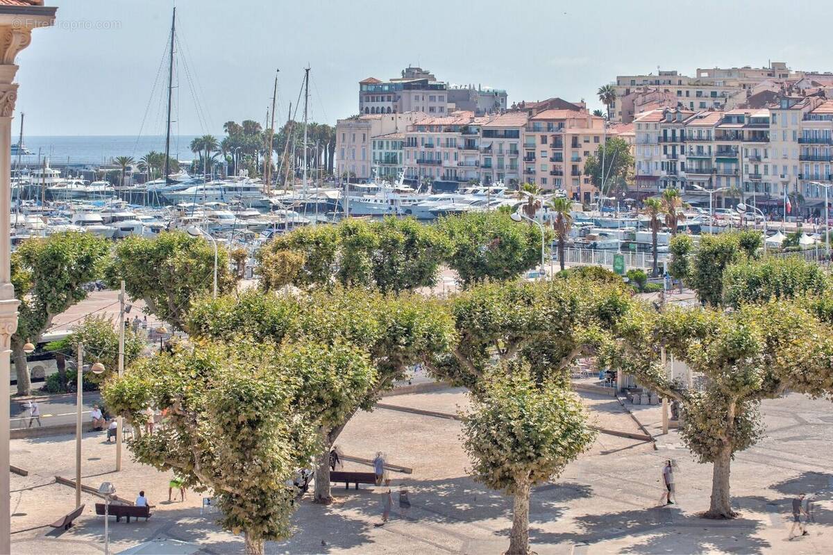 Photo 1 - Appartement à CANNES