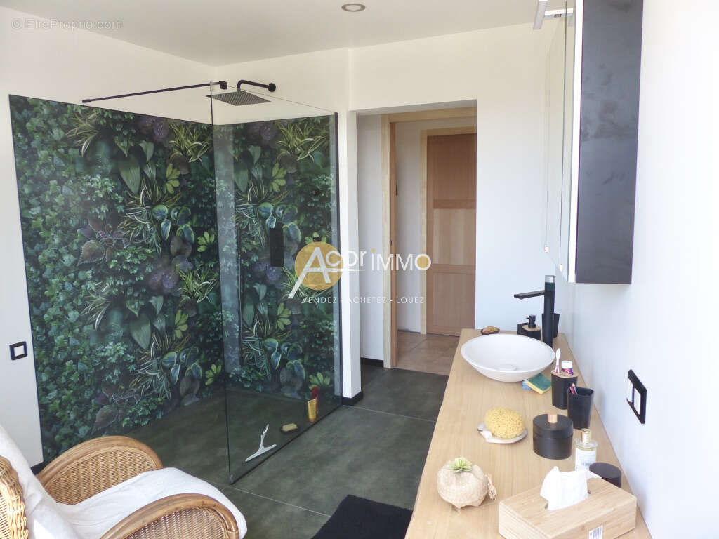 Ollioules villa vue dominante - photo 19