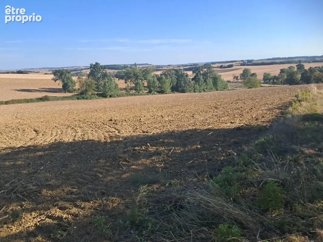 Terrain à vendre de 9403m2 PERGAIN TAILLAC (32) - photo 6