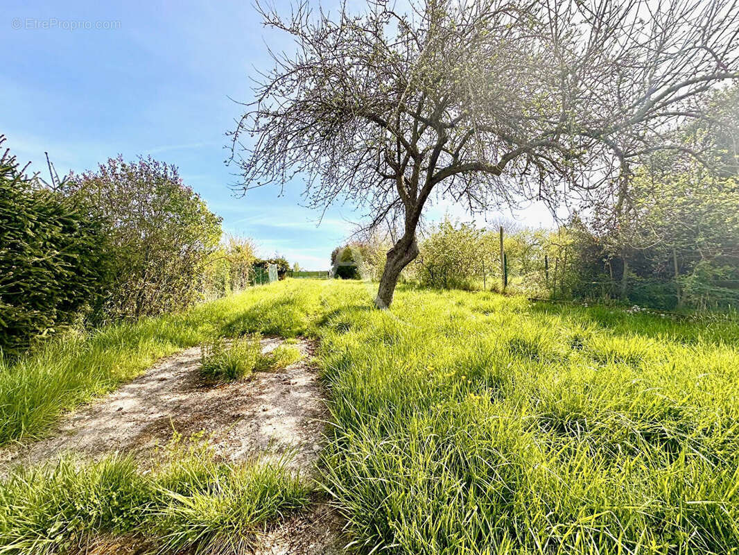 Terrain à GERBEVILLER