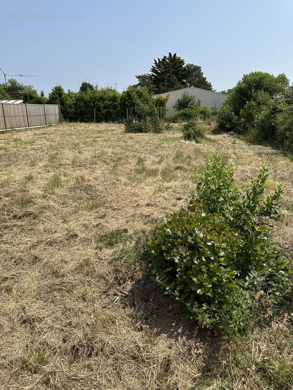 Terrain à OLONNE-SUR-MER
