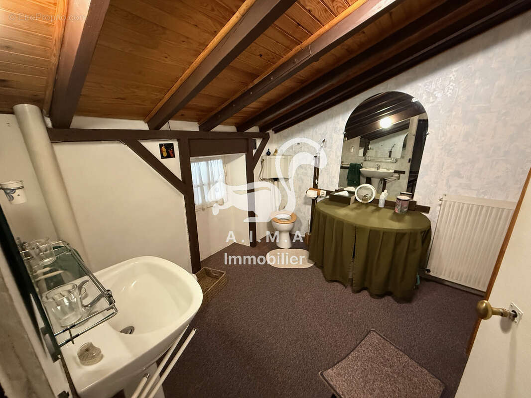 Mios, en quartier sur 5 000m2 de terrain maison avec appartement et grange - photo 10