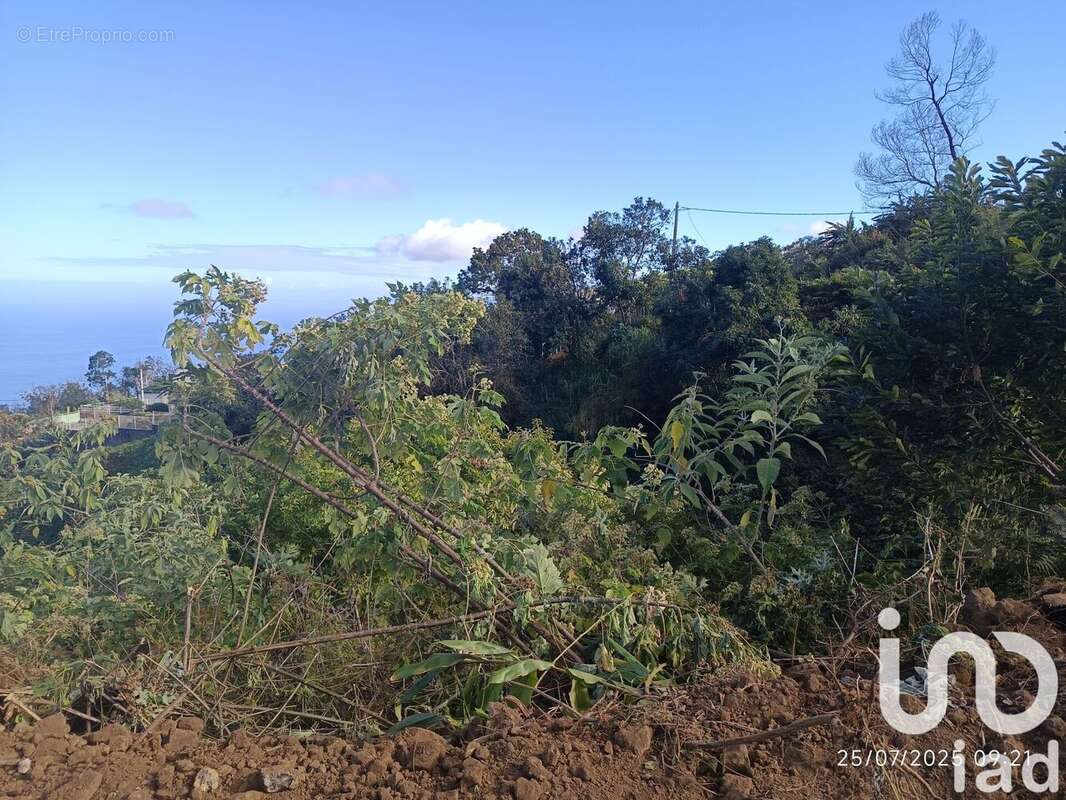 Photo 2 - Terrain à SAINT-LEU