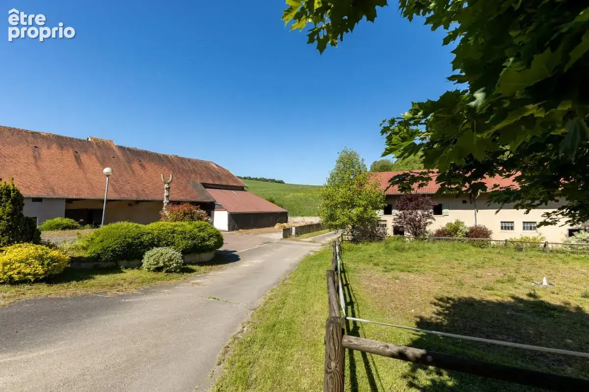 Domaine equestre - boxes-manege-carriere-appartement - photo 22