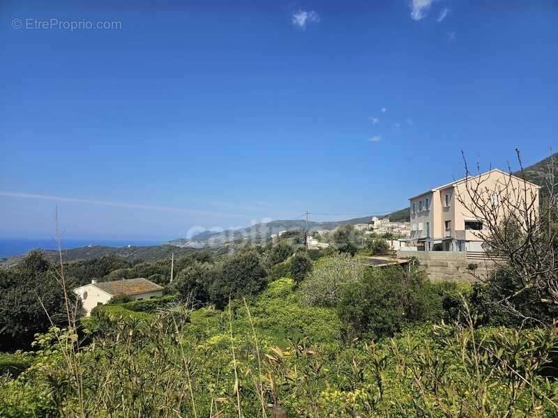 Maison familiale de 226 m2 divisée en 4 habitations indépendantes, vue mer, terrain 2000 m2, garage et terrasses à MORSIGLIA (HA - photo 17
