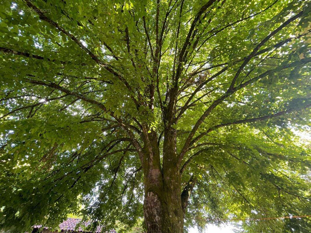Maison à SAINT-AMAND-DE-VERGT