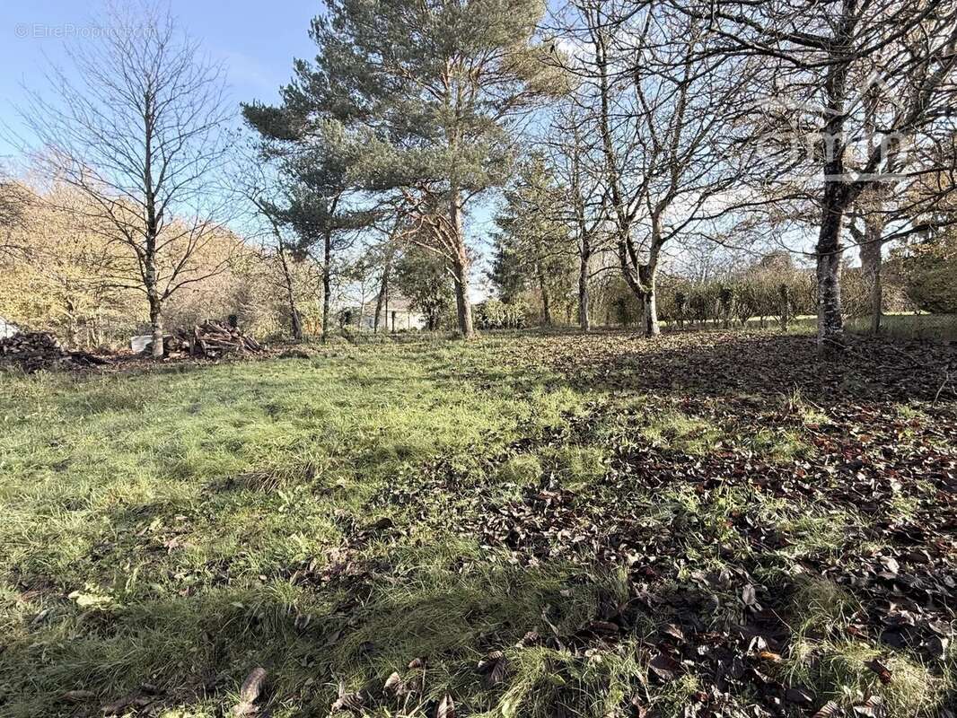 Terrain à CERE-LA-RONDE