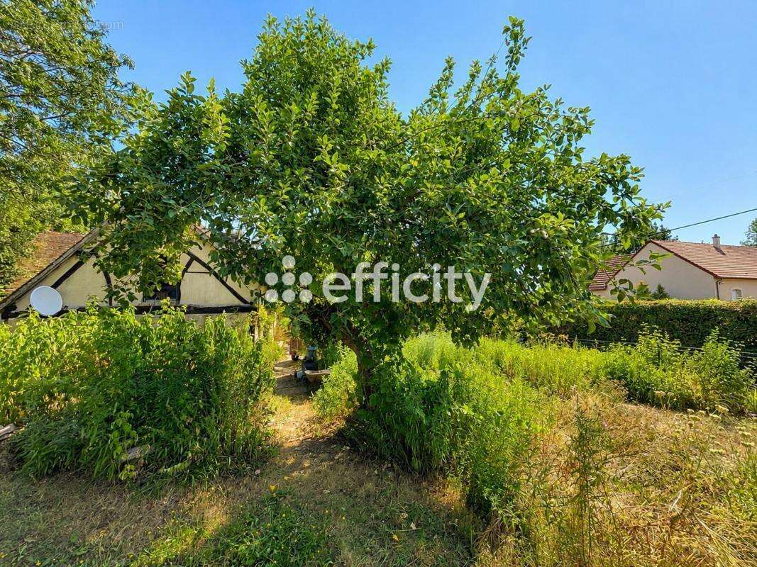 Maison ancienne - photo 14