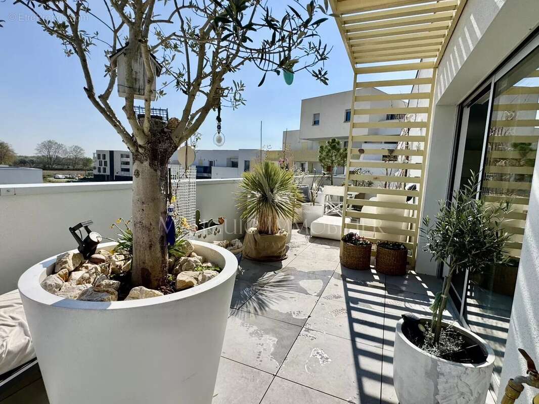 Appartement à MAUGUIO