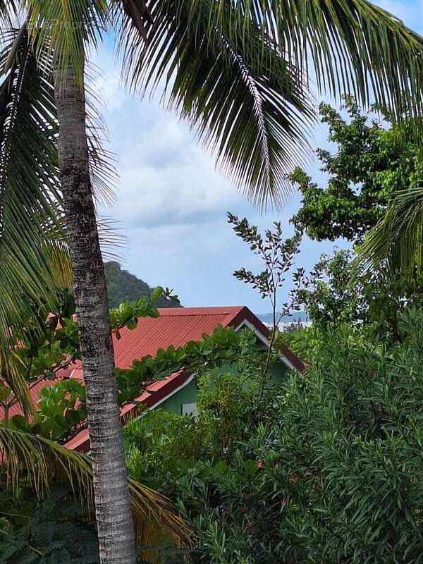 Photo 3 - Appartement à SAINT-MARTIN