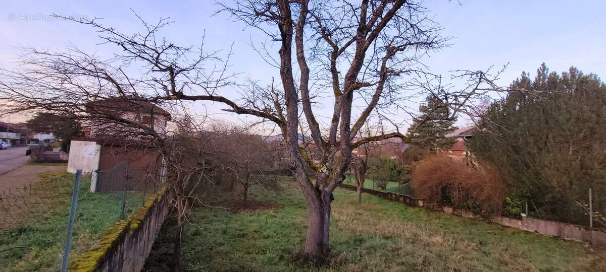 4 - Terrain à SAINT-DIE-DES-VOSGES