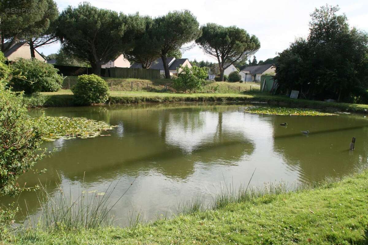 Vente Terrain Guegon(56120) 40 000ï¿œ - photo 2