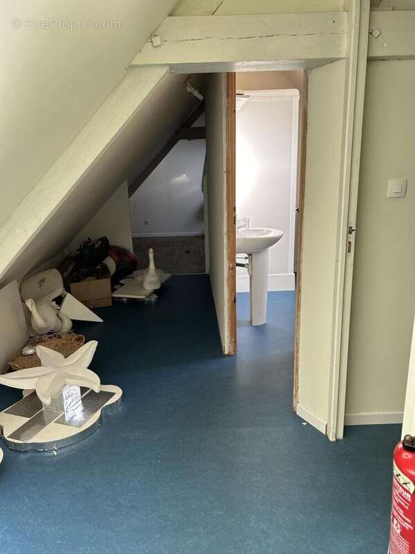 Commerce à ESCAUDOEUVRES