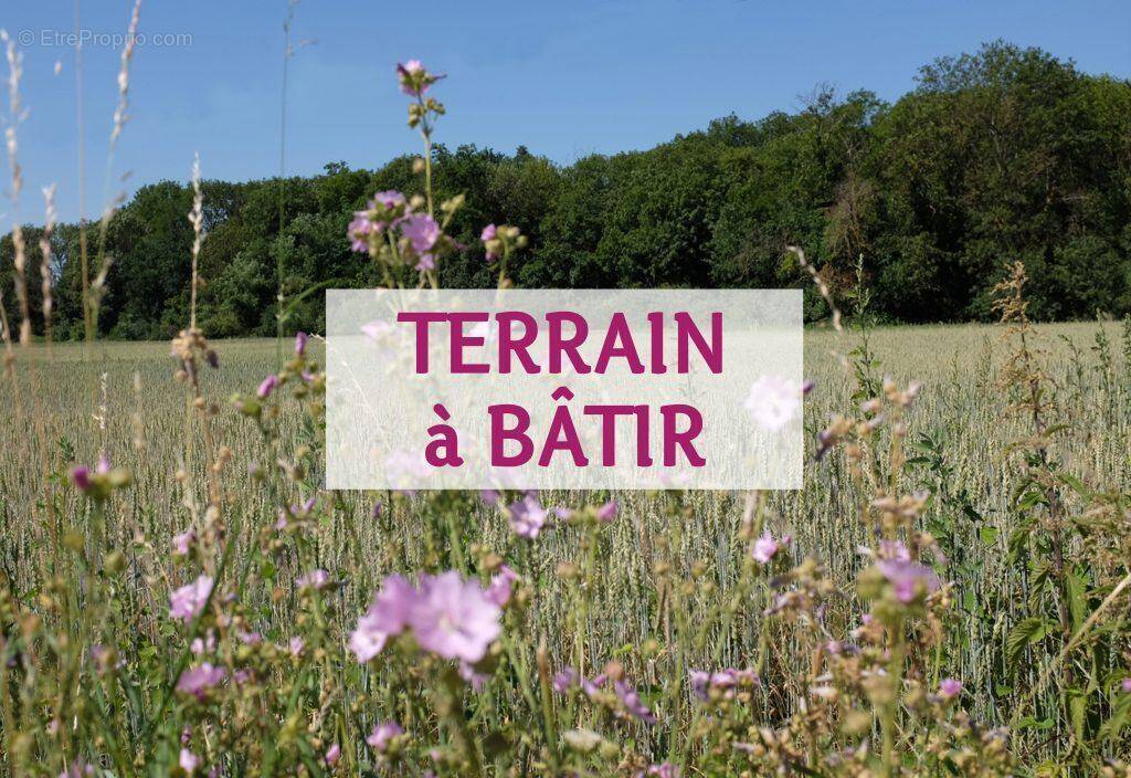 Terrain à CHAMPAGNE