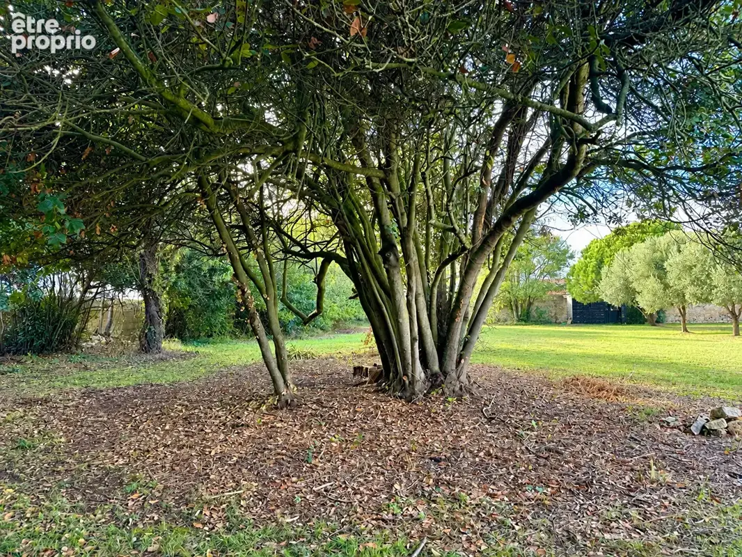 Terrain Loix - photo 2