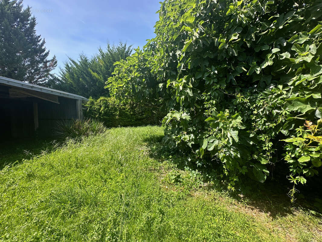 À vendre à la Sauvetat-sur-Lède garage dans le village avec petit terrain - photo 8