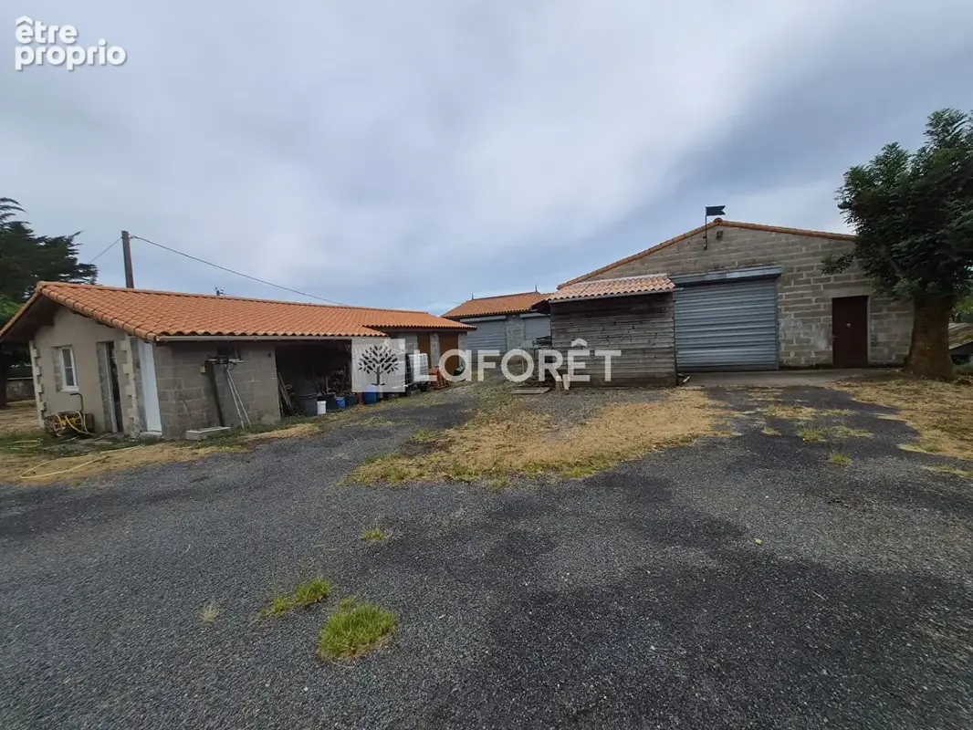 Ensemble immobilier avec maison en pierre, vastes dépendances et jardin. - photo 9