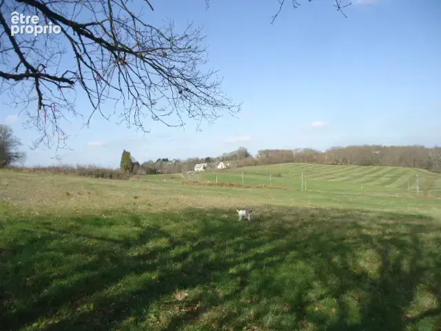Terrain à LASCAUX