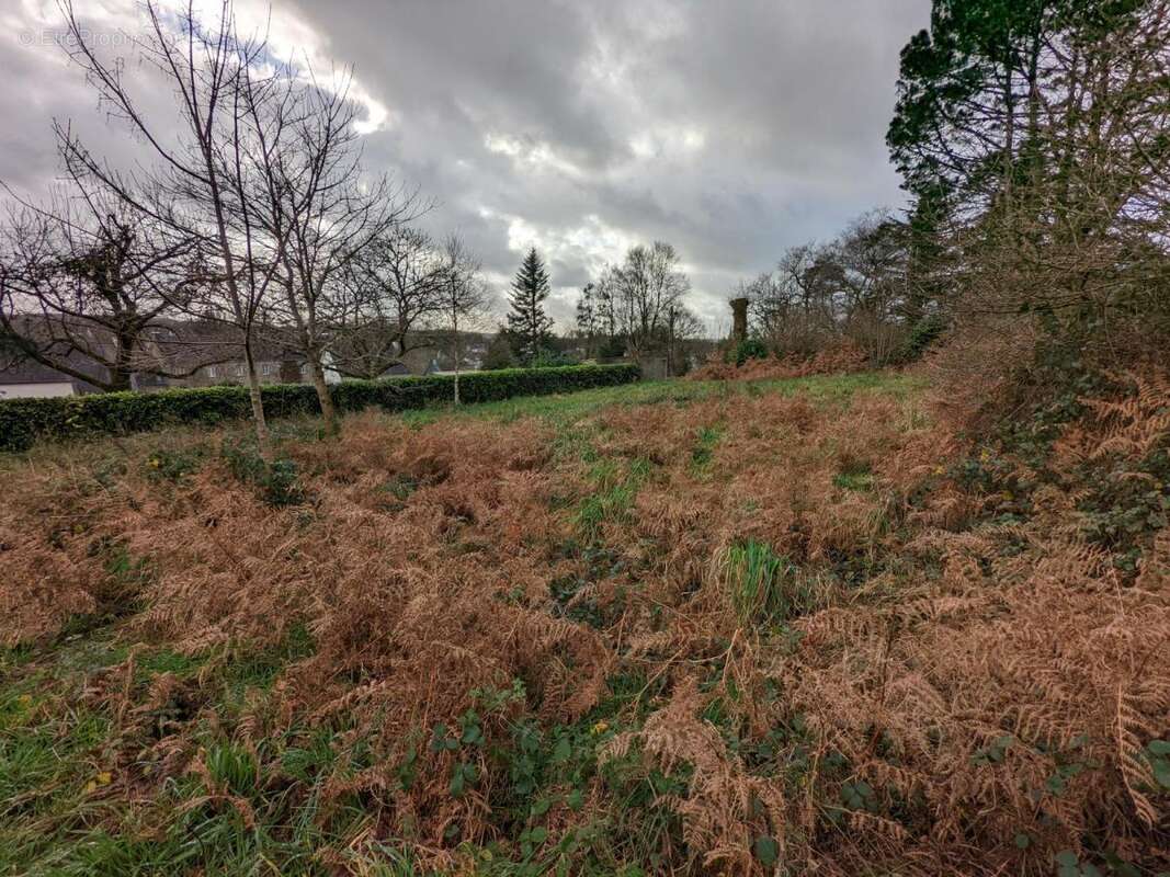 Terrain à PLOURAY