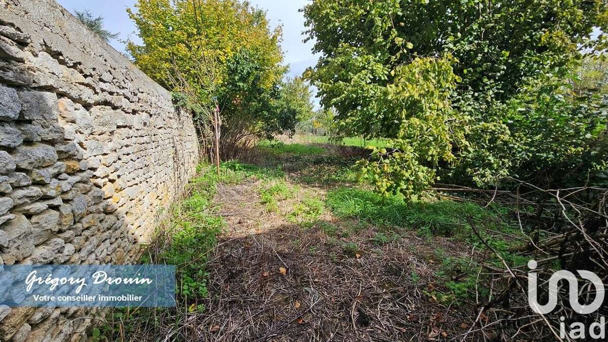 Photo 4 - Maison à BEAUMONT-DU-GATINAIS