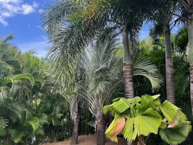 Maison à BOUILLANTE