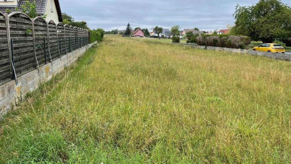 Terrain à BANTZENHEIM