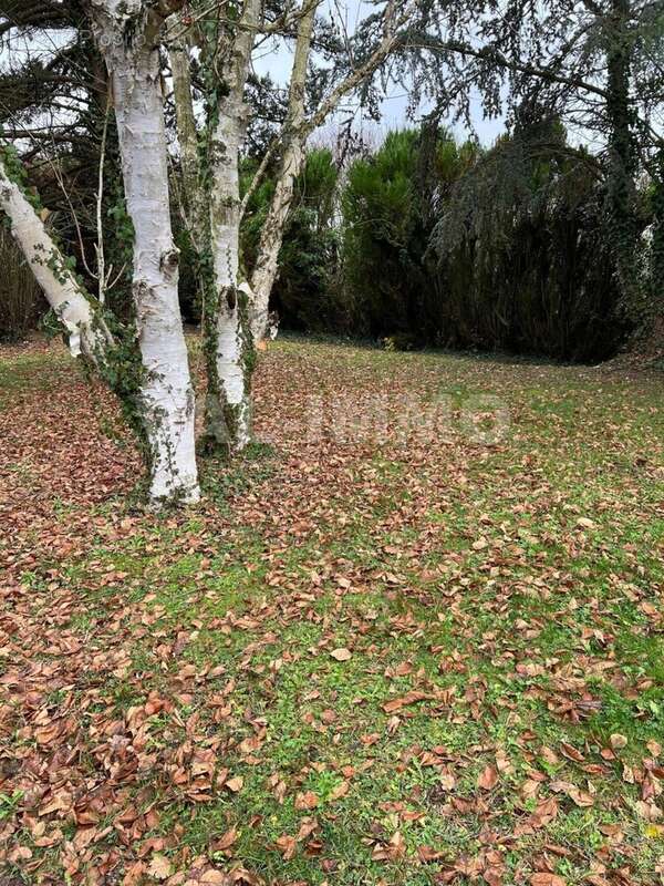 ext - Maison à MARQUION