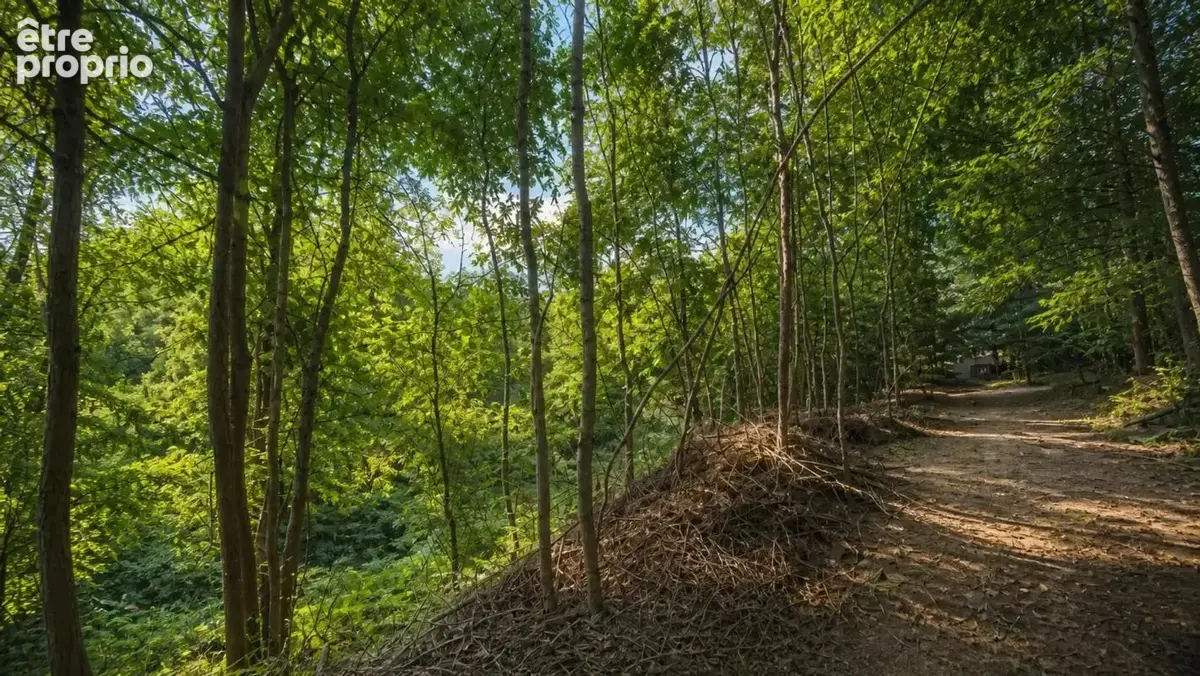 Maison en forêt avec son etang sur bourg des comptes - photo 13