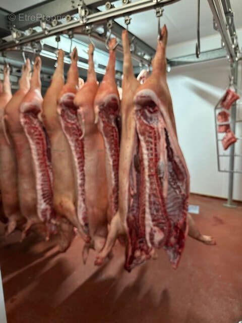 Commerce à LA CHAPELLE-DE-GUINCHAY