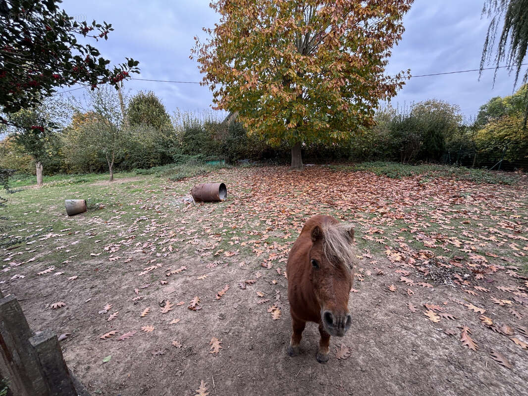 Maison à SAINT-PYTHON