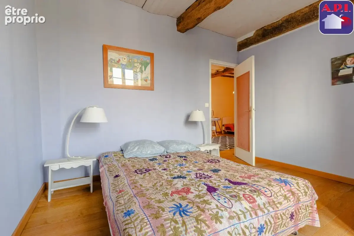 Maison 230 m² à Carla-Bayle  - photo 12