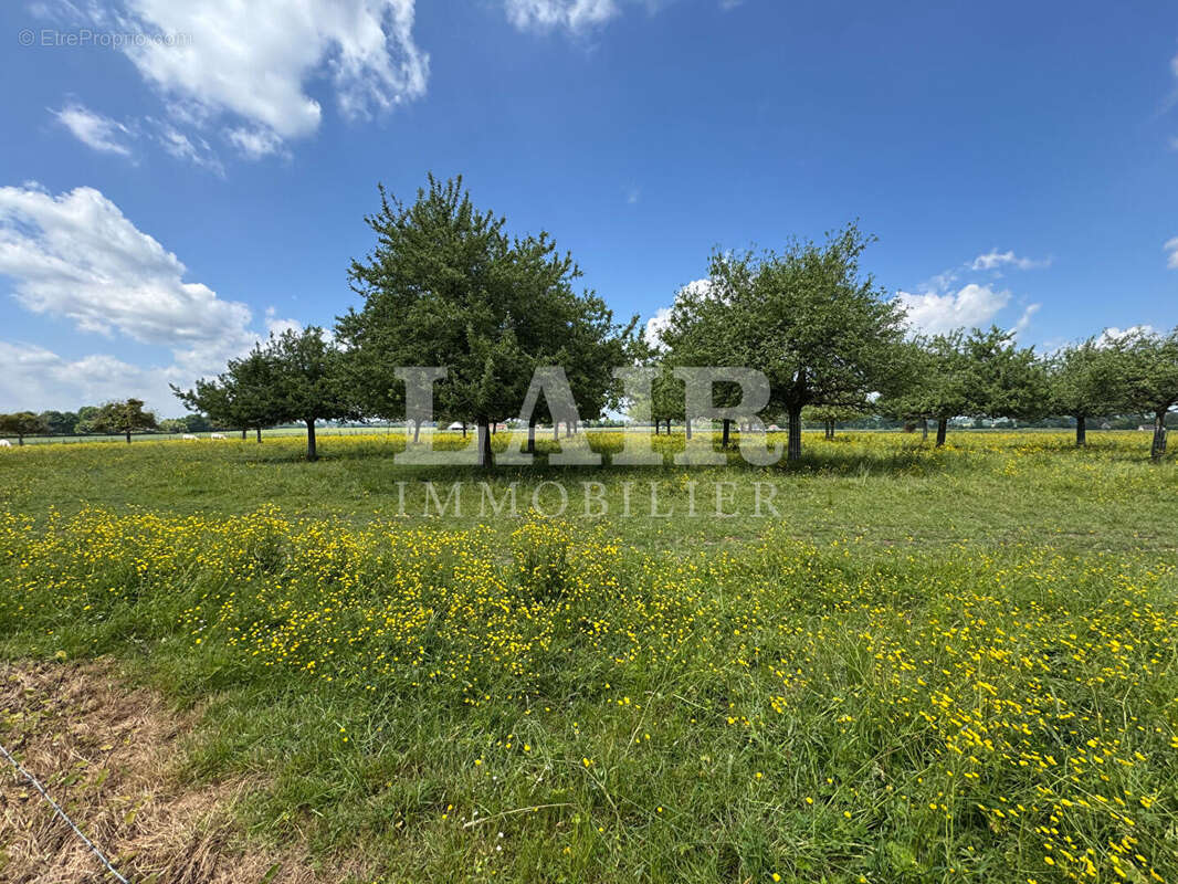 Maison à MORTAGNE-AU-PERCHE