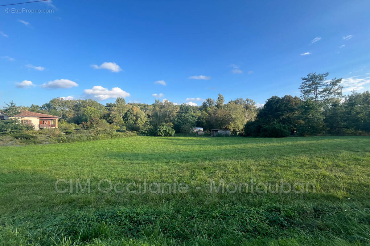Terrain à LE PLAN