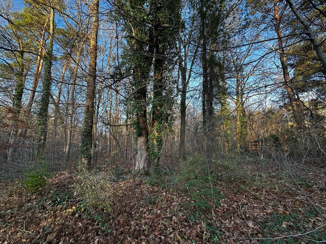 Terrain à NOISY-SUR-ECOLE