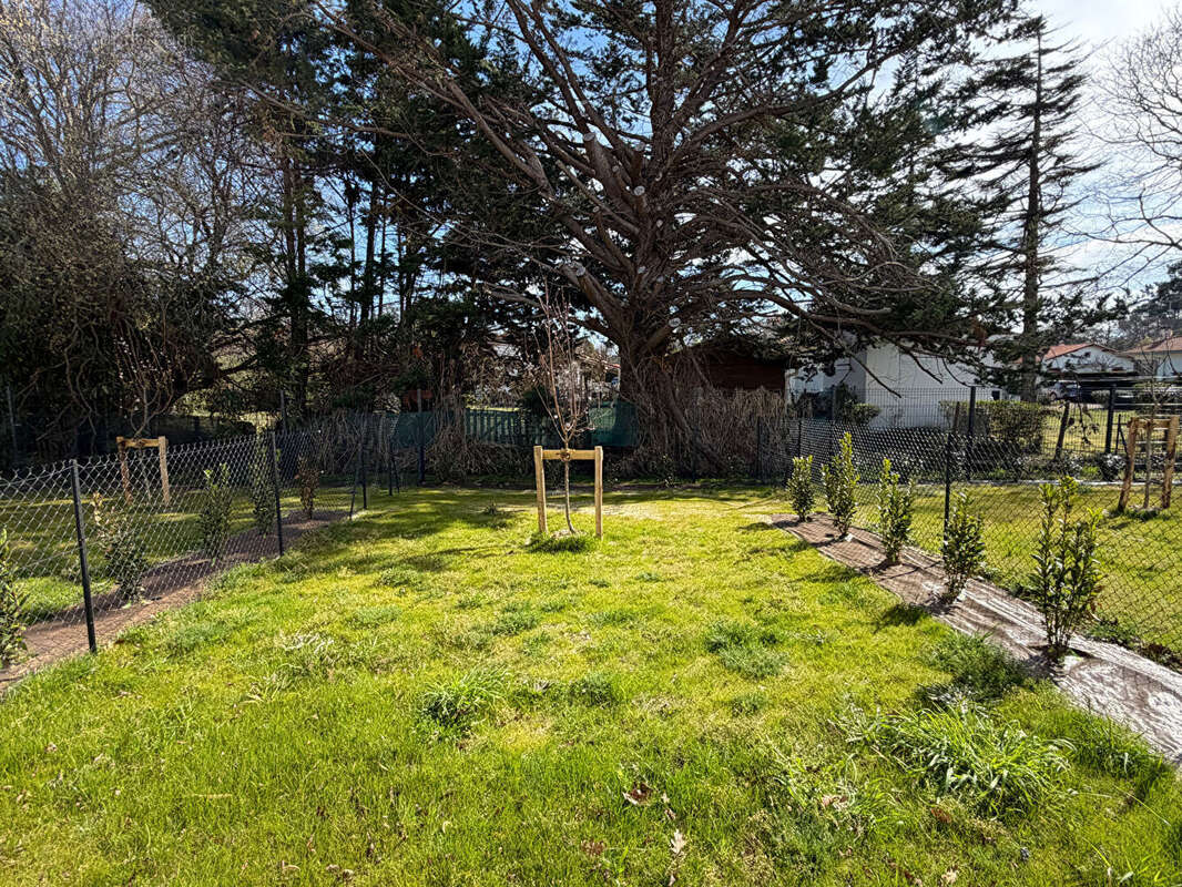 Appartement à MESSANGES