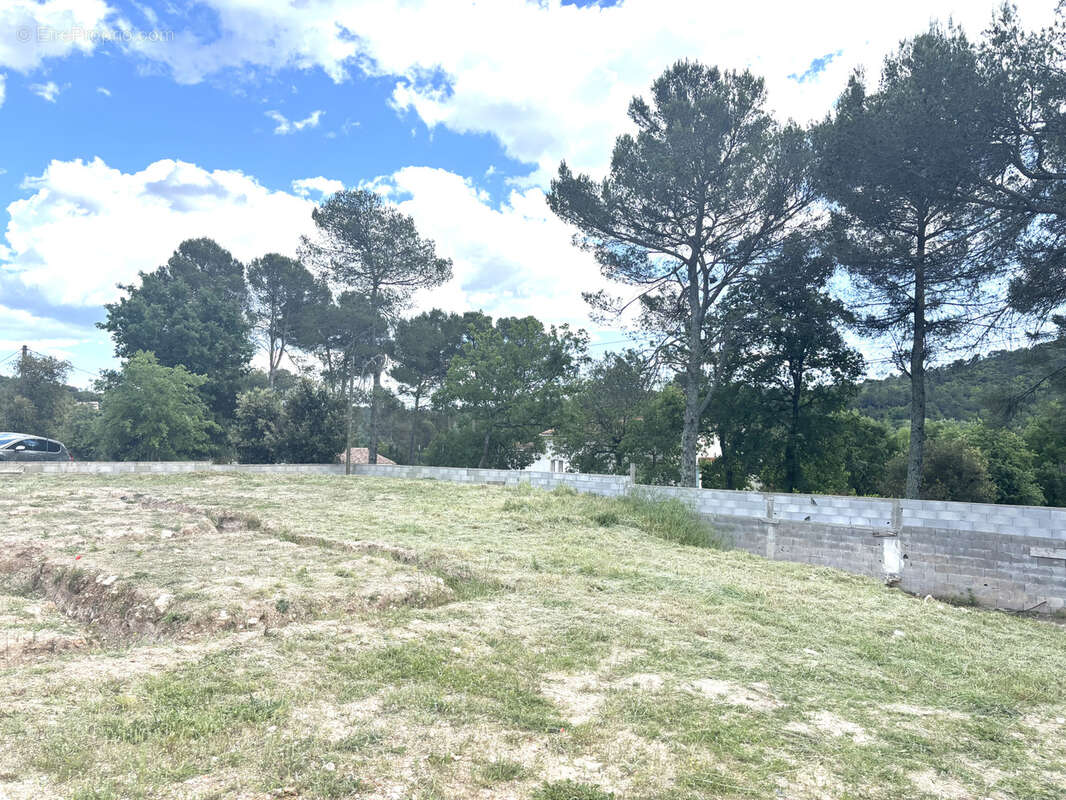 Terrain à FOX-AMPHOUX