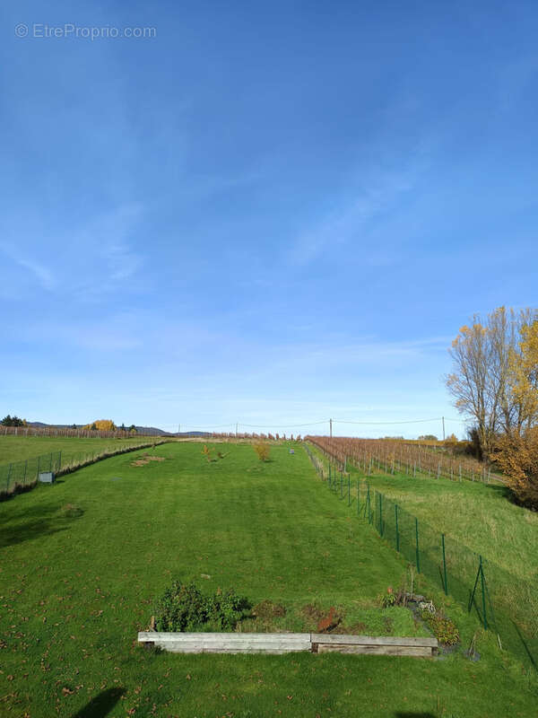 Maison à WISSEMBOURG
