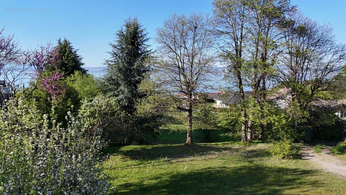 Terrain à LUGRIN