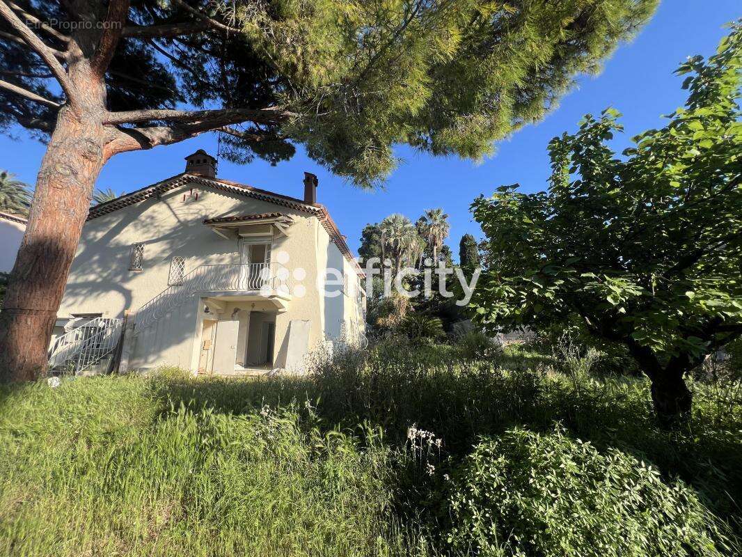 Maison à CANNES