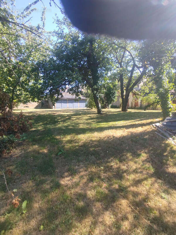 Propriété avec 3 maisons, 8 garages et terrain - photo 7