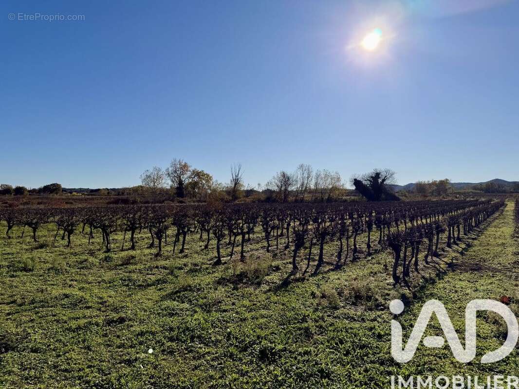 Photo 6 - Terrain à LAUDUN-L'ARDOISE