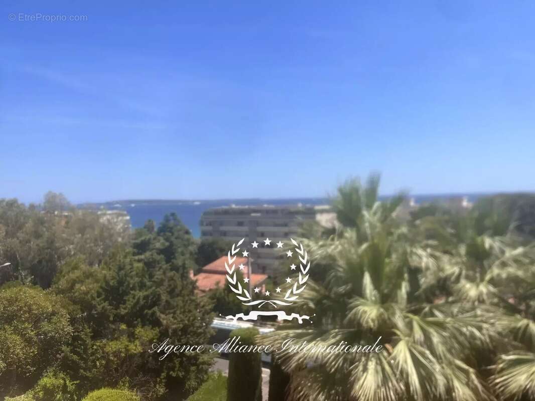 Cannes - 2 pieces vue mer - terrasse - photo 10