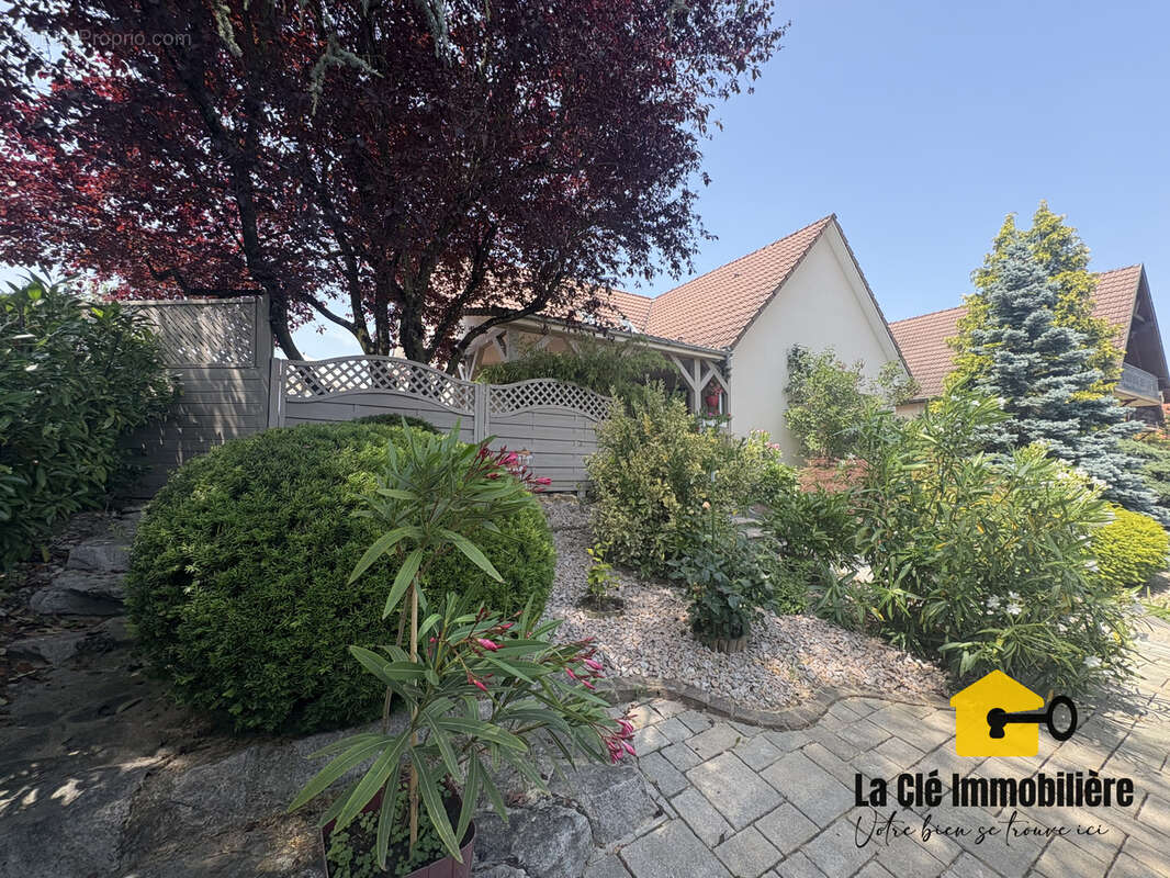 Maison à SAINT-LOUIS