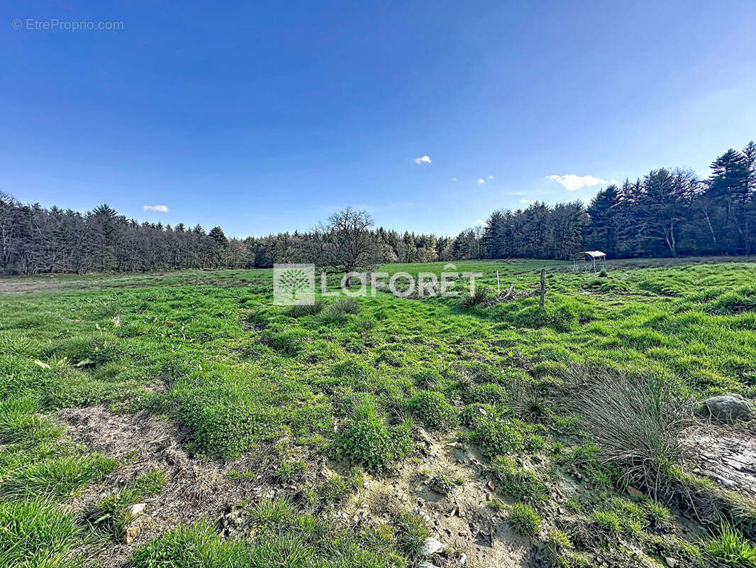 Maison à TREFFORT-CUISIAT