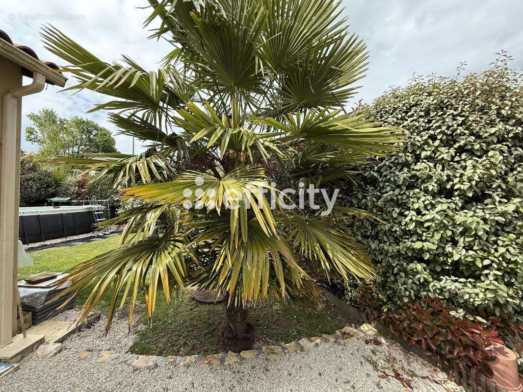 Maison à SAUZE-VAUSSAIS